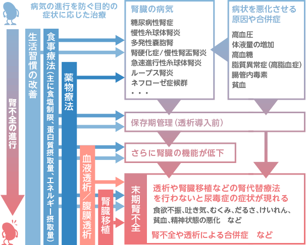 慢性腎不全の進行