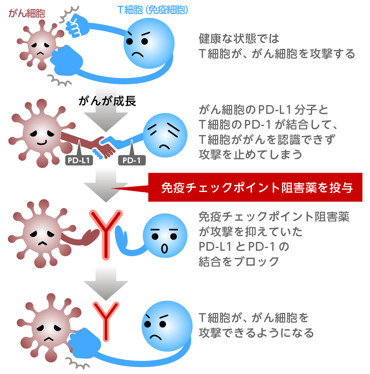 図7：免疫チェックポイント阻害薬のしくみ