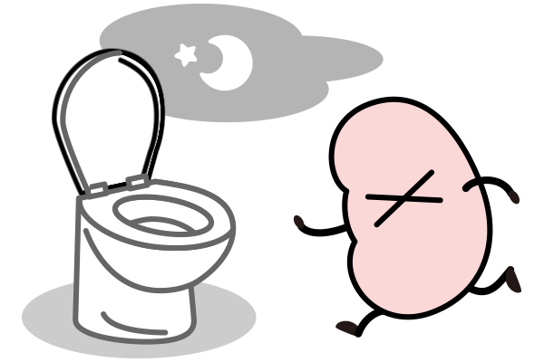 夜間にトイレに行く回数が増える イメージ