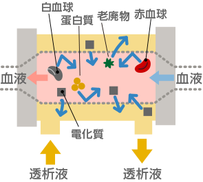 ダイアライザのしくみ