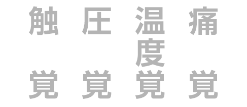 触覚や圧覚、温度覚、痛覚