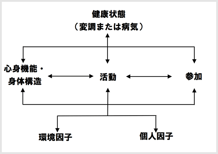 国際生活機能分類（ICF）による分類