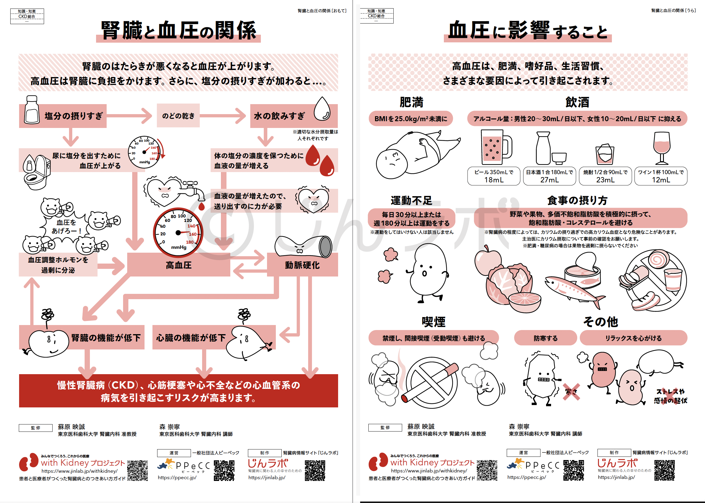 血圧と腎臓の関係